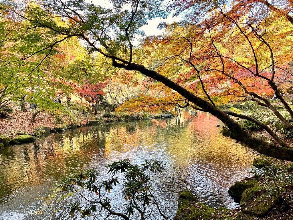「文殊の池」と紅葉の写真。