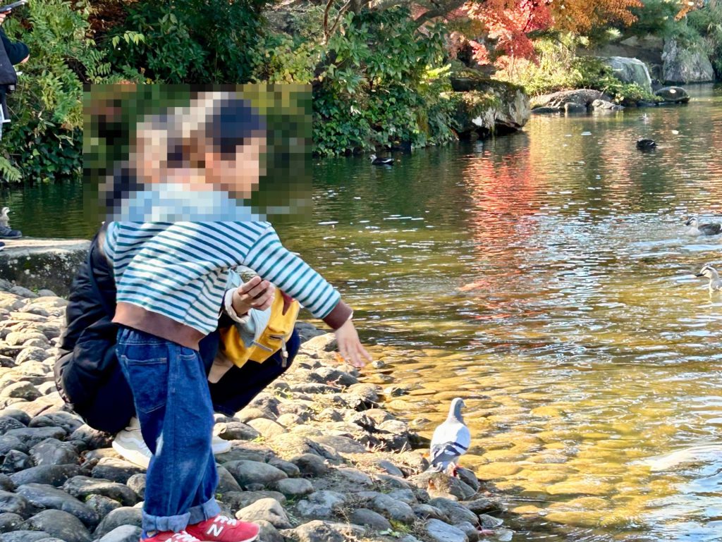 成田山公園で、鯉にエサをあげる息子の写真
